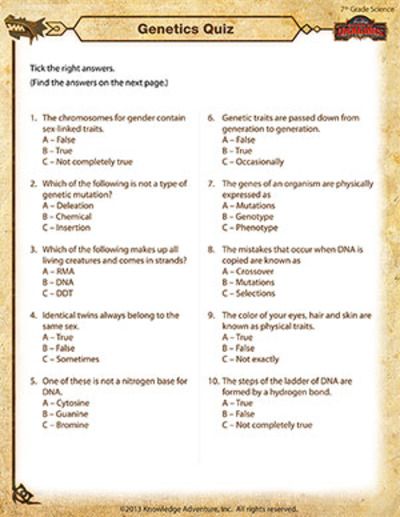 7th Grade Science Worksheets Pdf