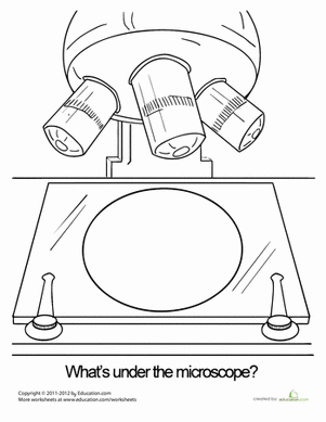 Microscope Worksheet For Kids