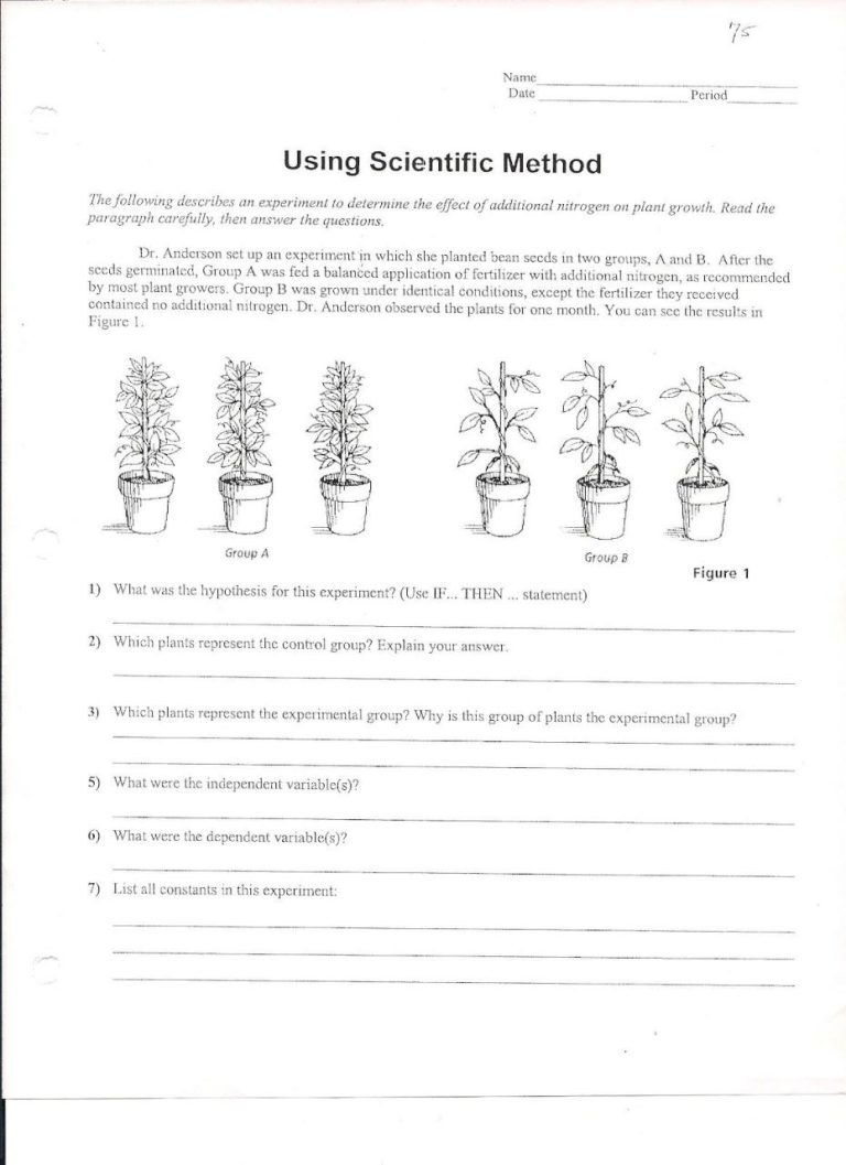 Scientific Method Worksheet 5th Grade