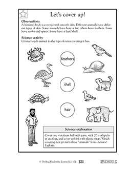 2nd Grade Science Worksheets For Kids