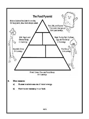 Food Pyramid Worksheet For Grade 5