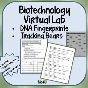 Dna Fingerprinting Worksheet Pdf