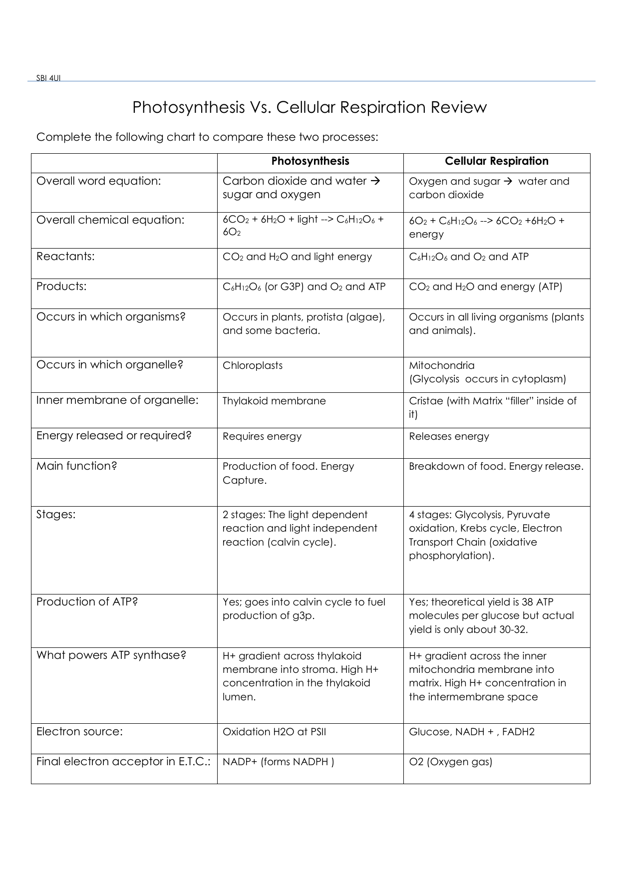 Photosynthesis Vs Cellular Respiration Worksheet