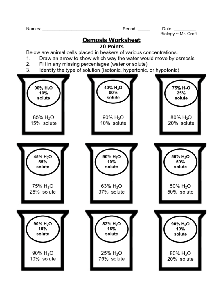 Diffusion And Osmosis Worksheet Biology