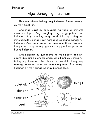 Filipino Reading Comprehension Worksheets For Grade 2