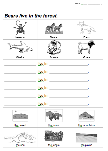 Grade 1 Animals Habitat Worksheet