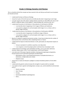 Snurfle Meiosis Worksheet Answers Pdf