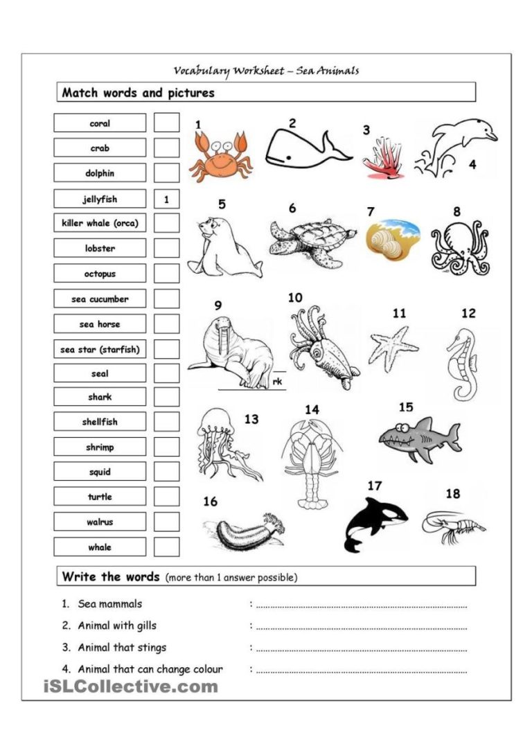 Vocabulary Farm Animals Worksheets Pdf