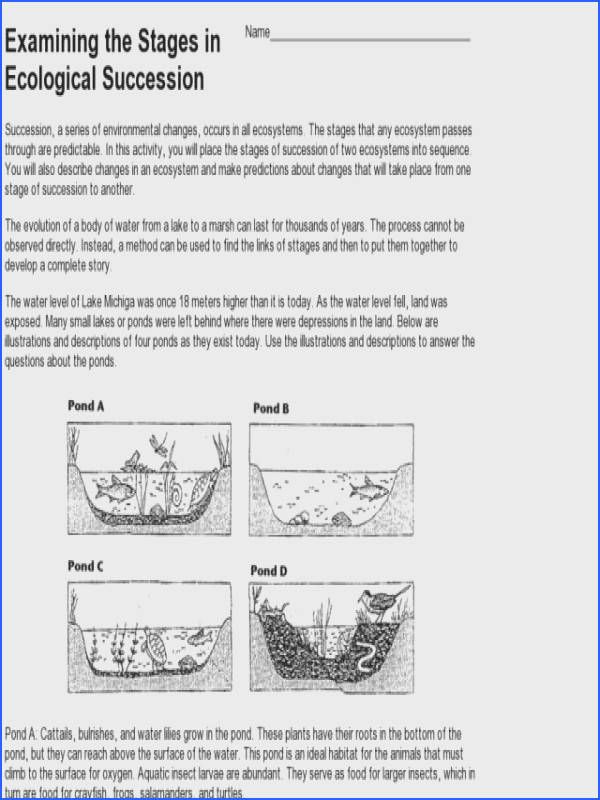 Pond Succession Ecological Succession Worksheet Answers