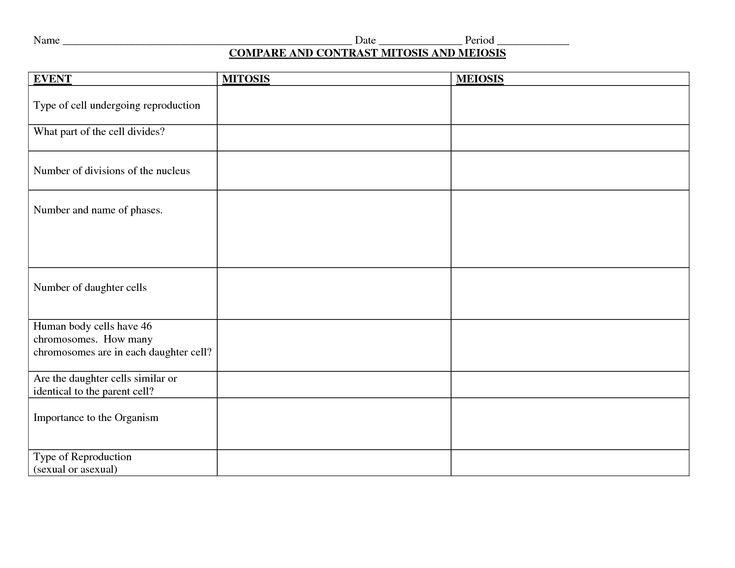 Mitosis Versus Meiosis Worksheet Answer Key