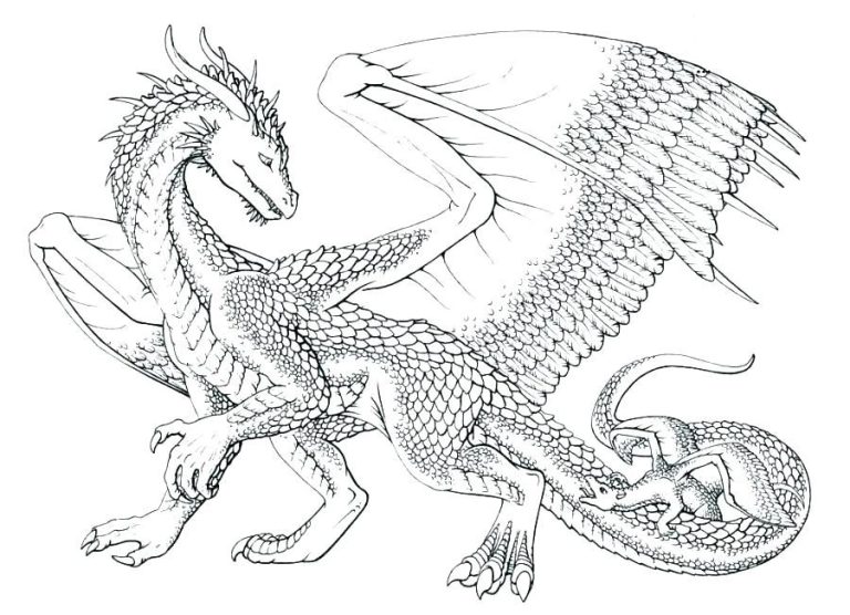 Dragon Coloring Pages