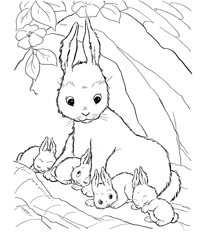 Rabbit Coloring Pages