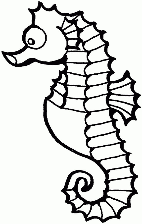 Seahorse Coloring Page