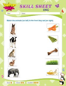 Question Paper Ukg English Worksheets Pdf Free Download