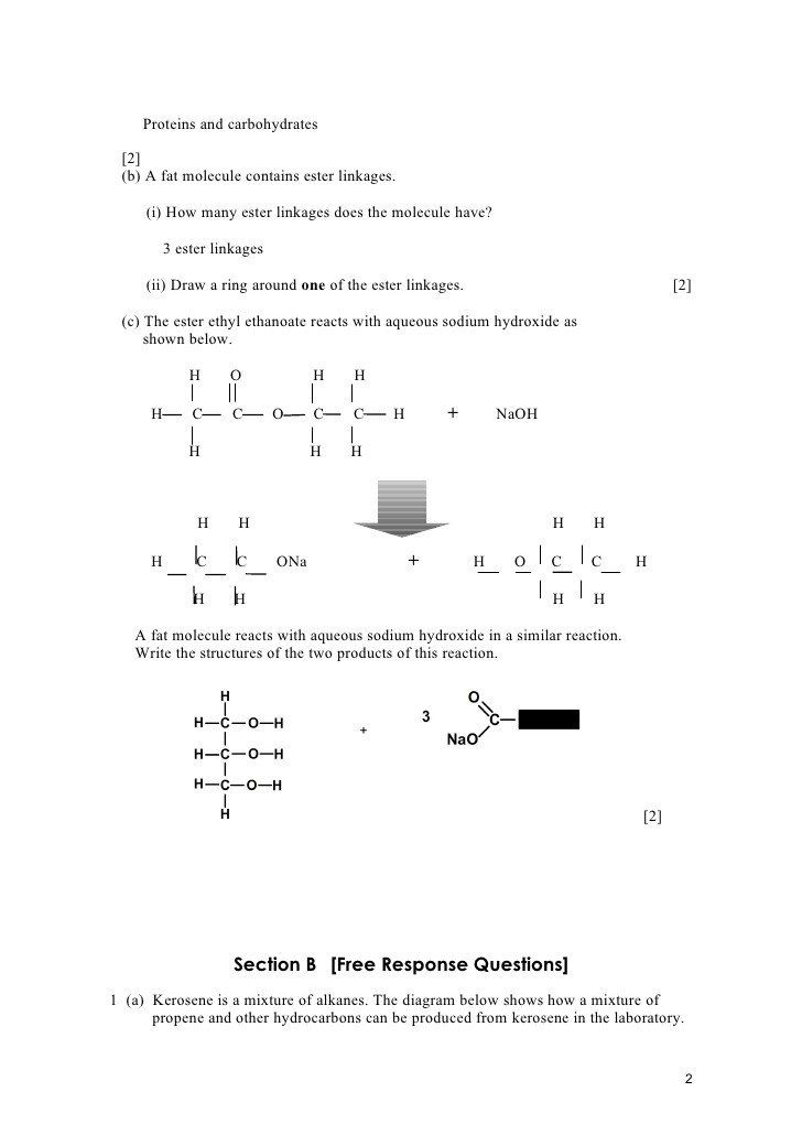 Biology Macromolecules Worksheet Answers