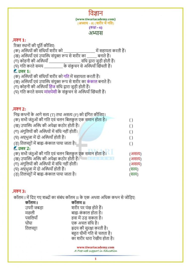 Ncert Class 6 Science Chapter 1 Worksheets