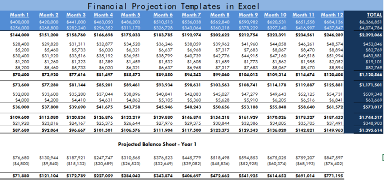 Shareholder Basis Worksheet Template Excel