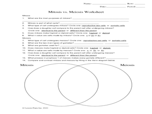 Mitosis And Meiosis Worksheet Answers