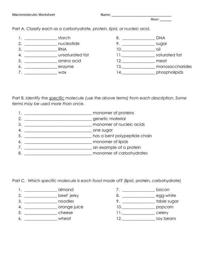 Organic Macromolecules Worksheet Answers