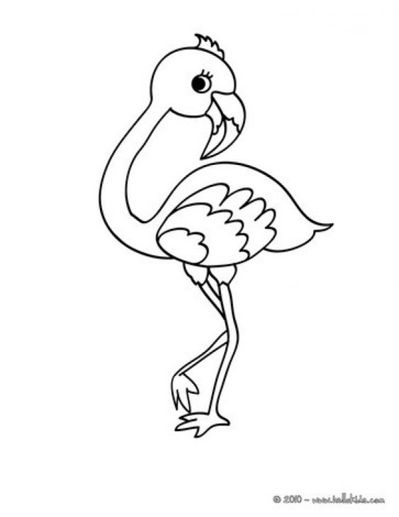 Flamingo Coloring Pages