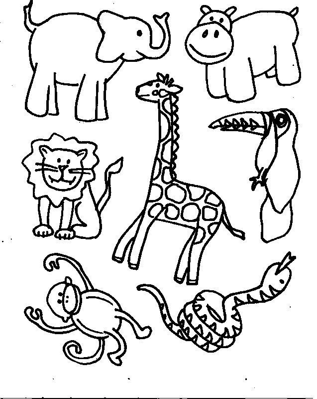 Coloring Animals