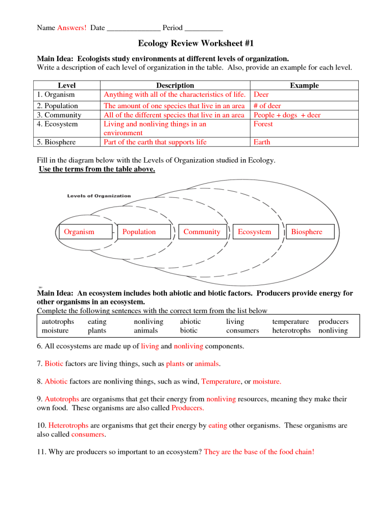 Key Grade 9 Ecological Succession Worksheet Answers