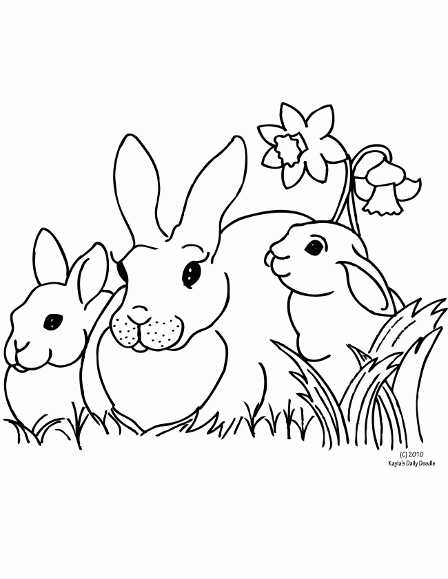 Bunny Coloring Pages