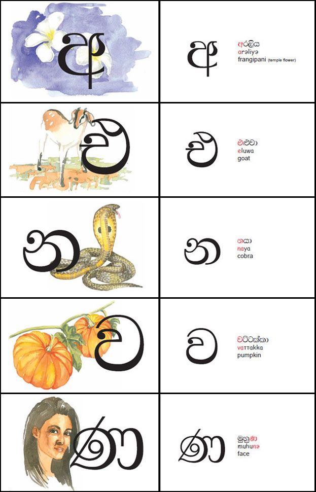 Sinhala Alphabet Writing Practice Pdf