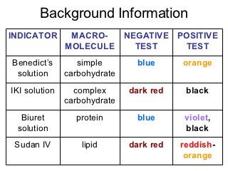 Biology Identifying Macromolecules Worksheet