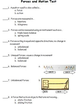 Cladogram Practice Worksheet Answer Key