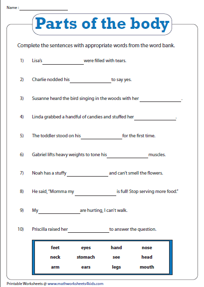 6th Grade Cbse Class 6 Science Worksheets