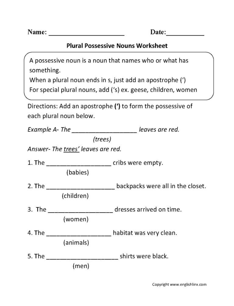 5th Grade Singular And Plural Possessive Nouns Worksheet