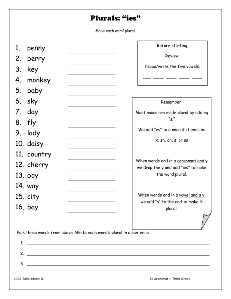 4th Grade Printable Irregular Plural Nouns Worksheet