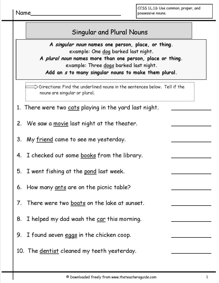 5th Grade Singular And Plural Nouns Worksheet