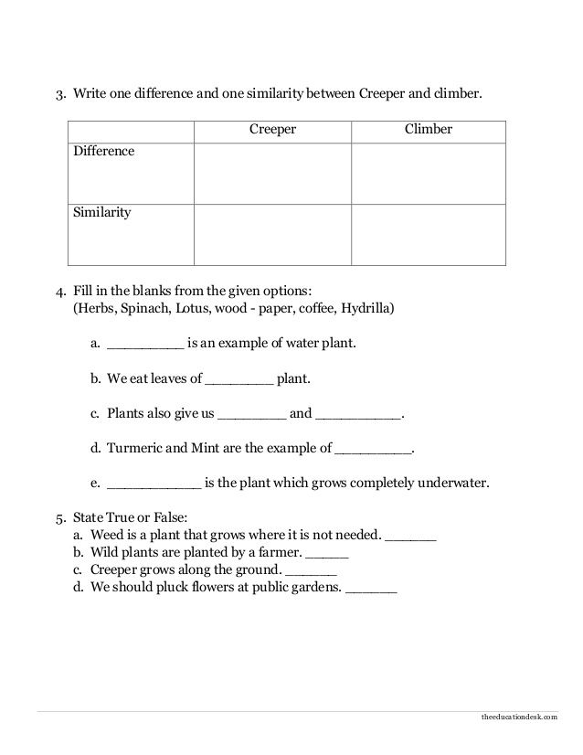 Evs Worksheet For Class 1 Pdf