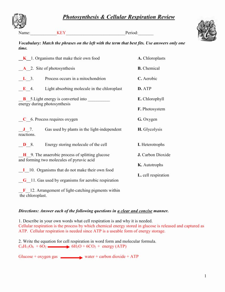 Chemistry Physical And Chemical Changes Worksheet Answers