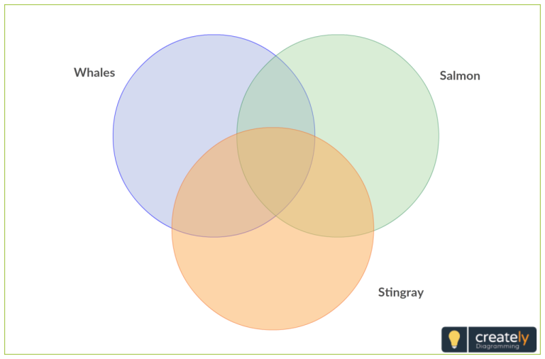 Printable 3 Circle Venn Diagram Template