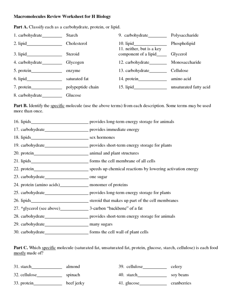 Macromolecules Worksheet Answers Biology