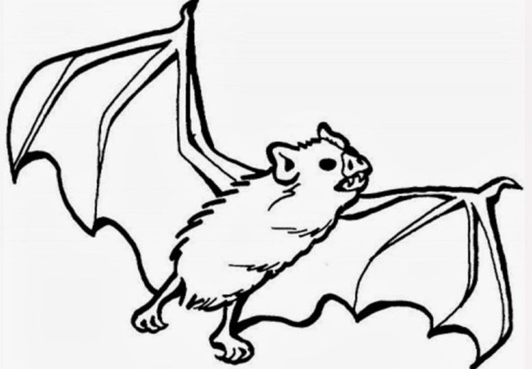 Bat Coloring Pages