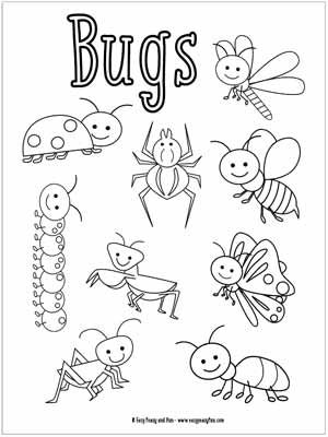 Bug Coloring Pages