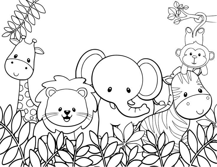 Animal Coloring Sheets