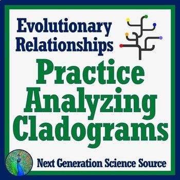 Cladogram Worksheet Pdf Answers