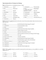 Macromolecules Worksheet Answers Key