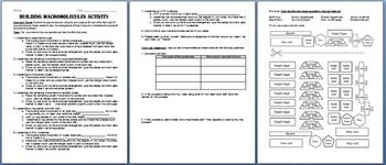 Biology Macromolecules Worksheet Answer Key