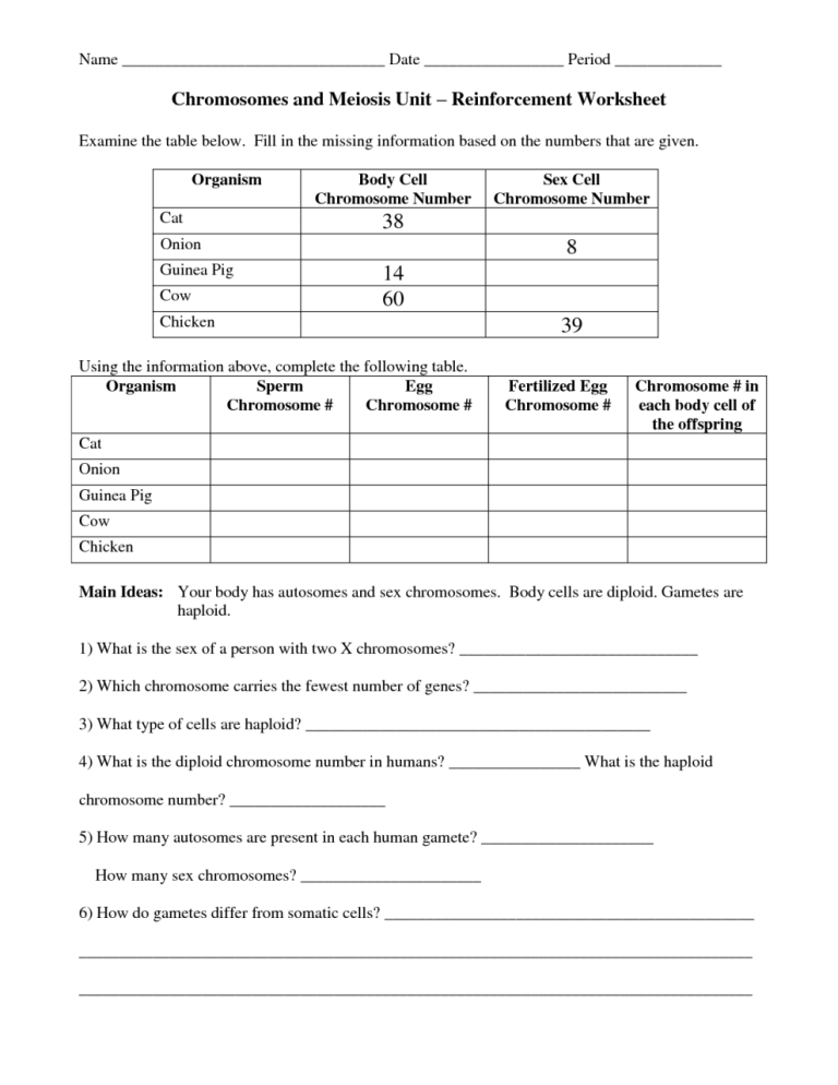 Meiosis Practice Worksheet Answer Key