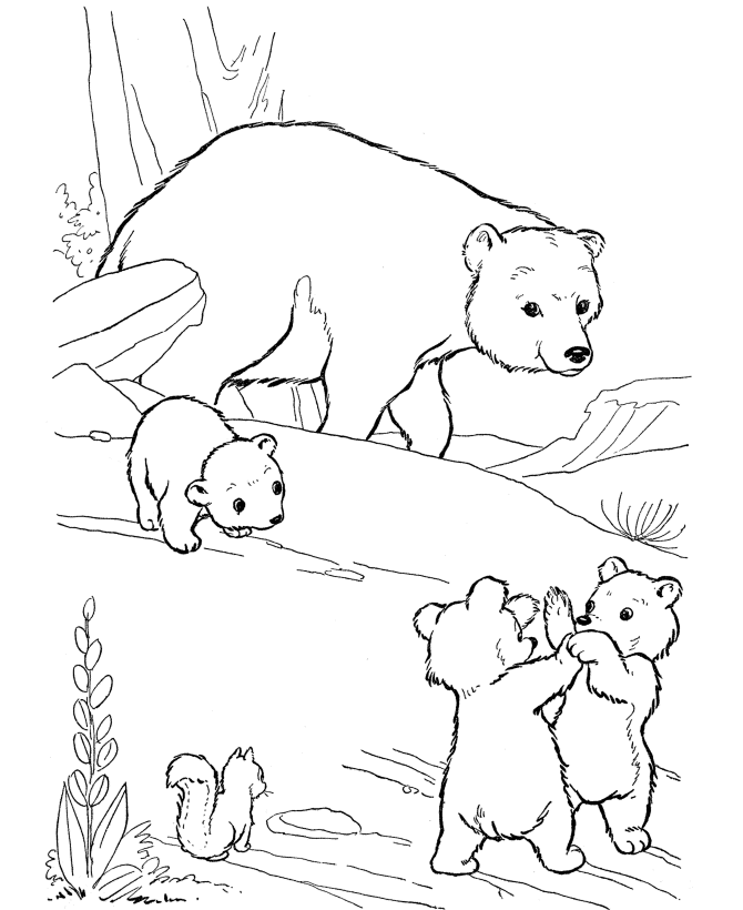 Bear Coloring Pages