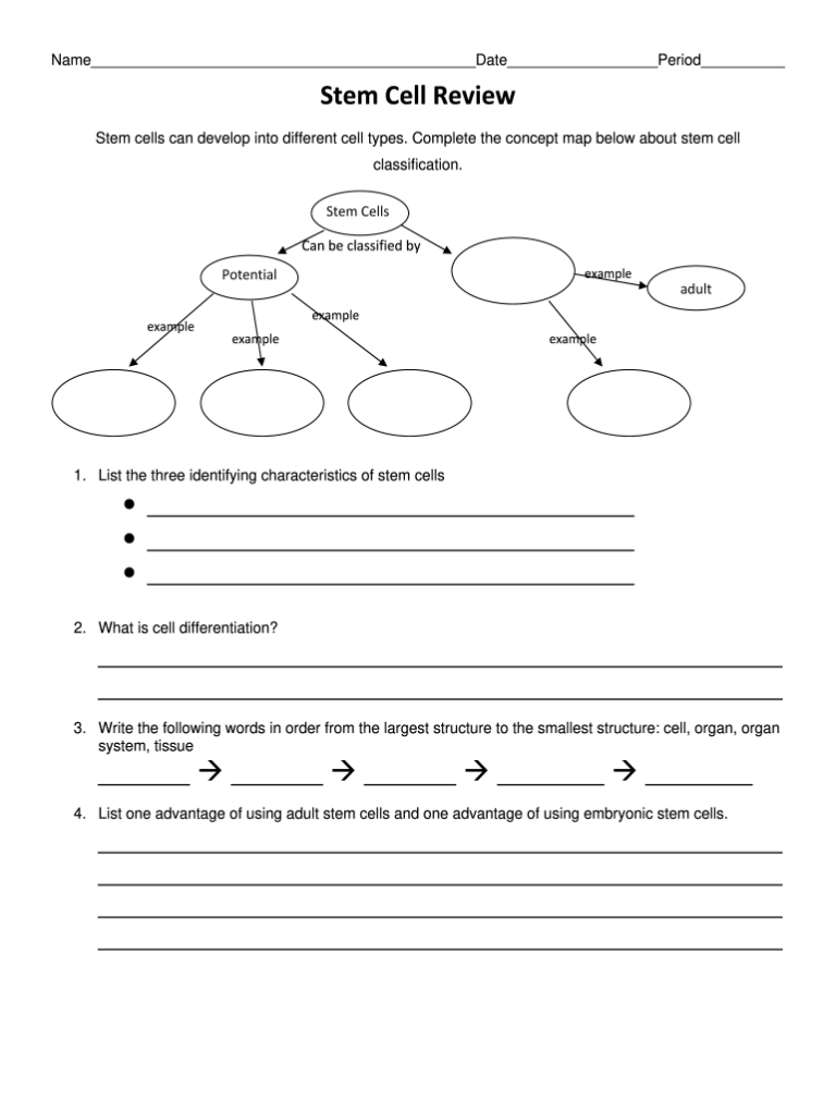 Phase Change Concept Map Worksheet Answers