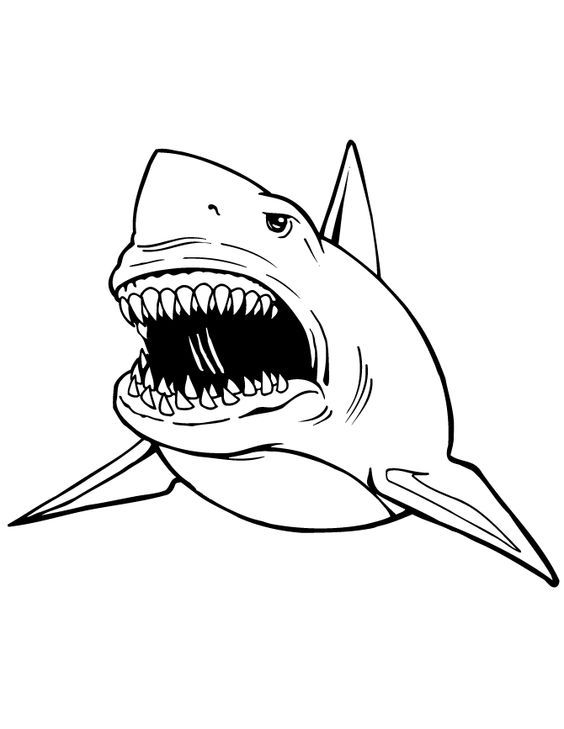 Great White Shark Coloring Page