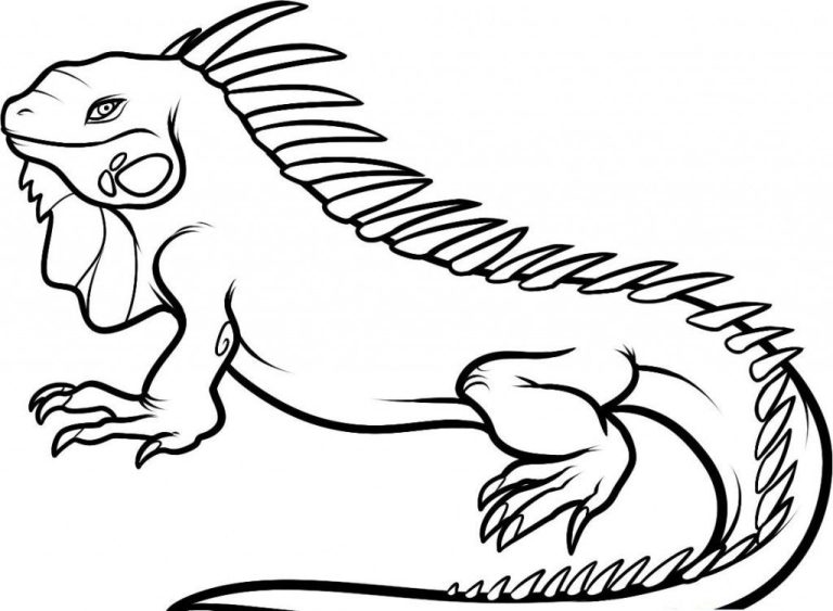 Iguana Coloring Page