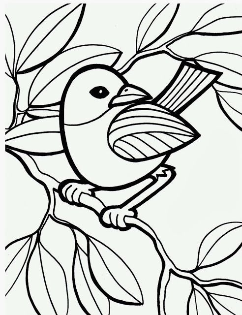 Bird Coloring Pages